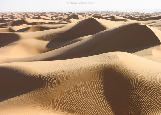 NSchweitzer_Mauritanie